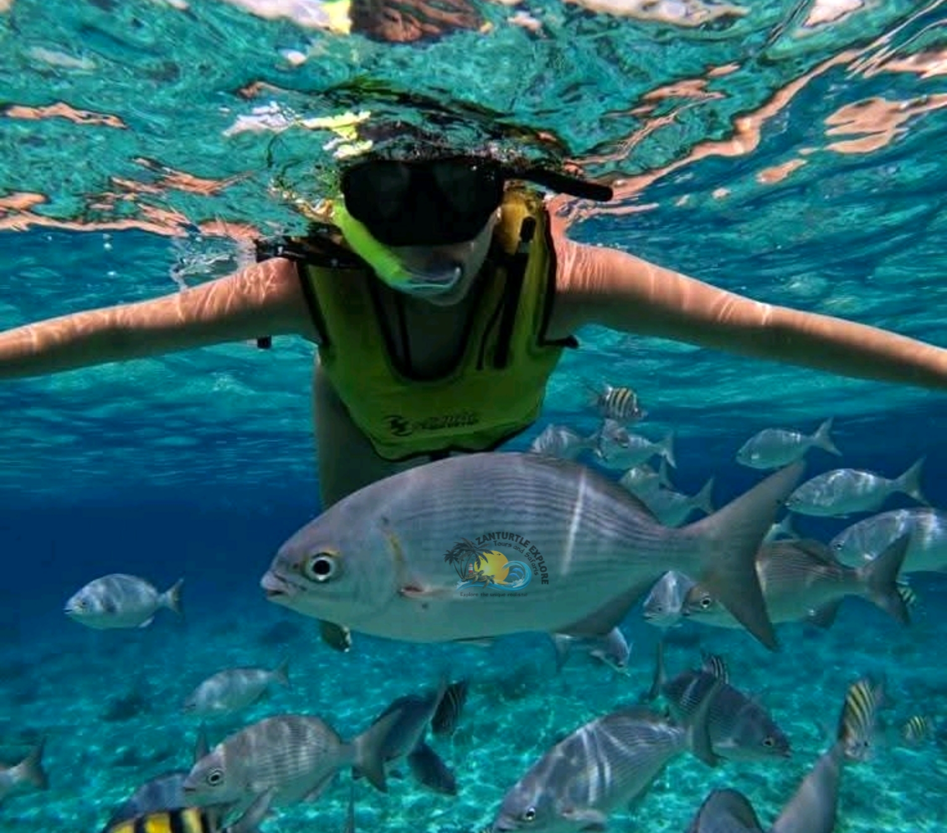 Zanzibar Blue Lagoon with Starfishes