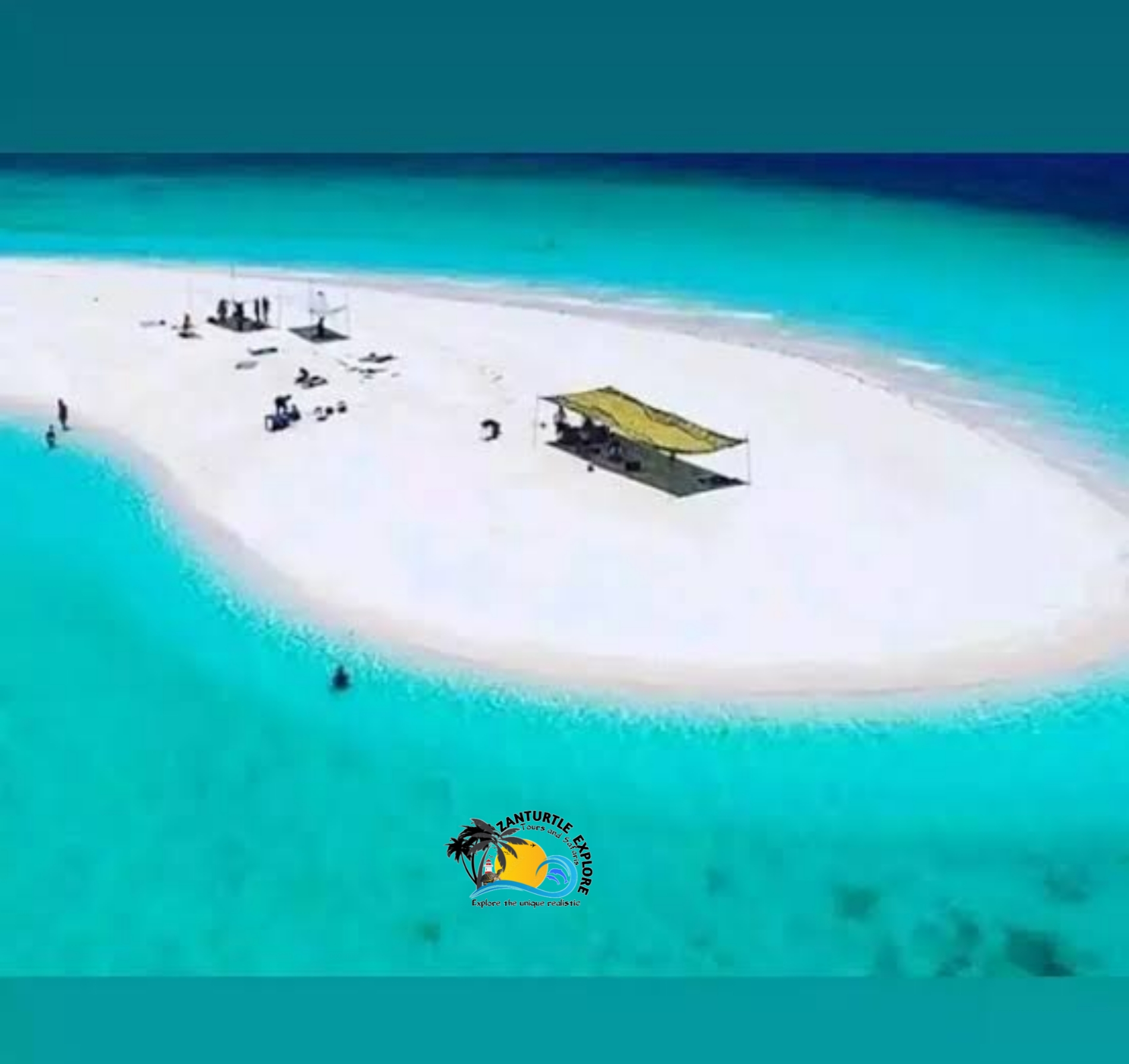 Pungume Island Snorkeling Trip